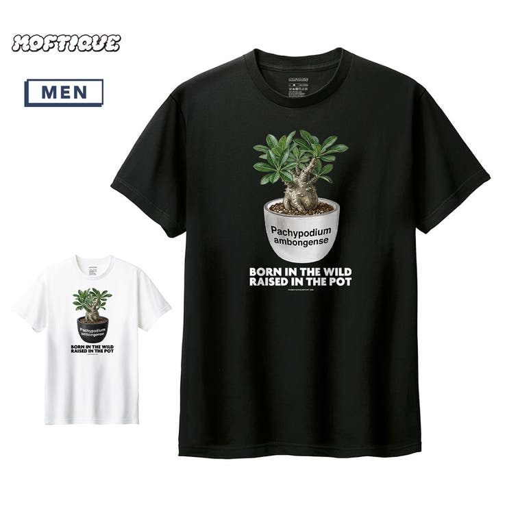 Moftique（モフティック） 半袖Tシャツ パキポディウム | printrium | 詳細画像1 