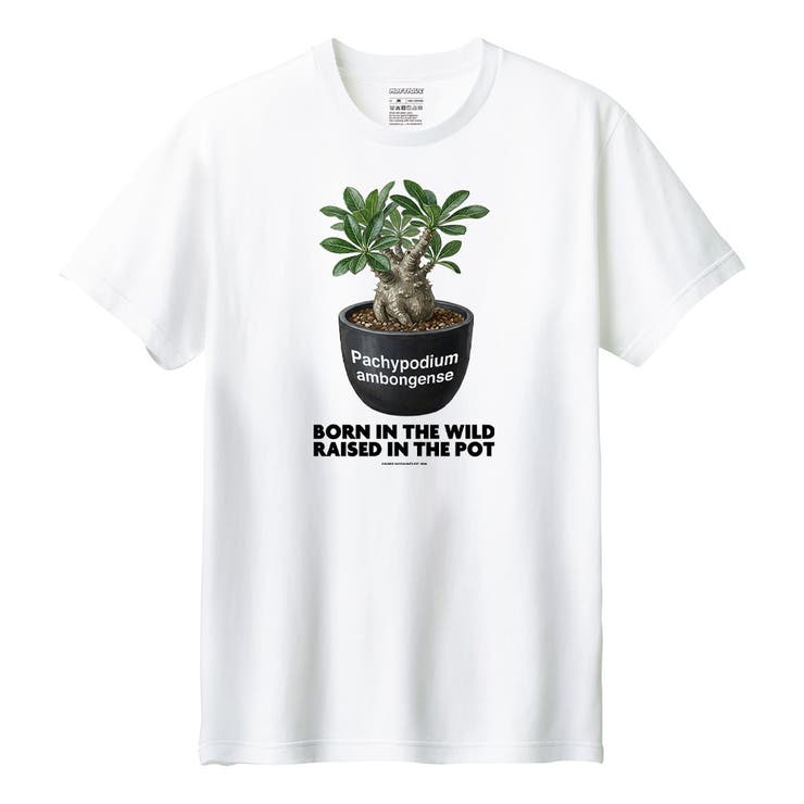 ホワイト | Moftique（モフティック） 半袖Tシャツ パキポディウム | printrium