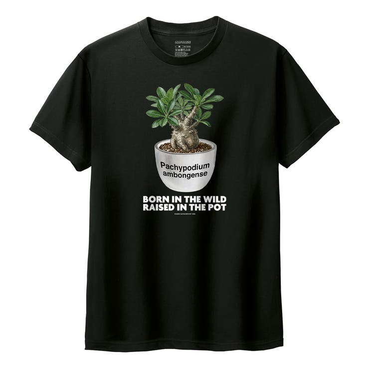 ブラック | Moftique（モフティック） 半袖Tシャツ パキポディウム | printrium
