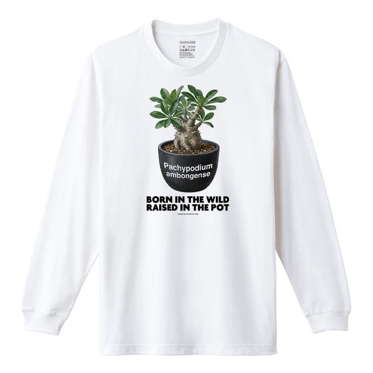 ホワイト | Moftique（モフティック） 長袖Tシャツ パキポディウム | printrium