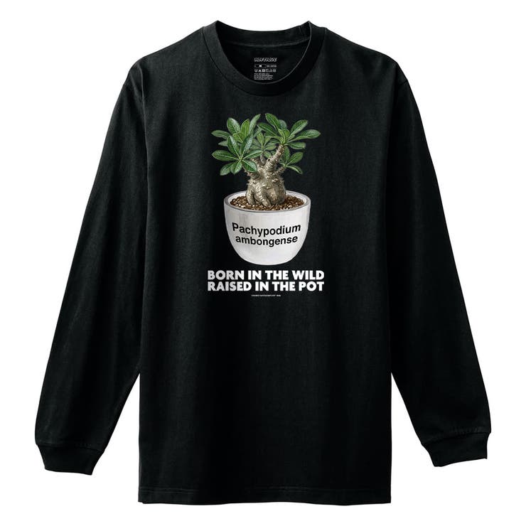 ブラック | Moftique（モフティック） 長袖Tシャツ パキポディウム | printrium