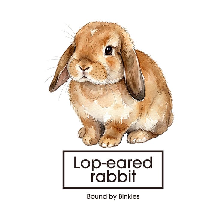 Moftique（モフティック） トレーナー スウェット | printrium | 詳細画像2 