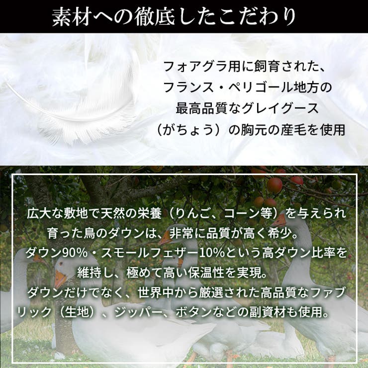 デュベティカ ダウン メンズ | PROVENCE | 詳細画像8 