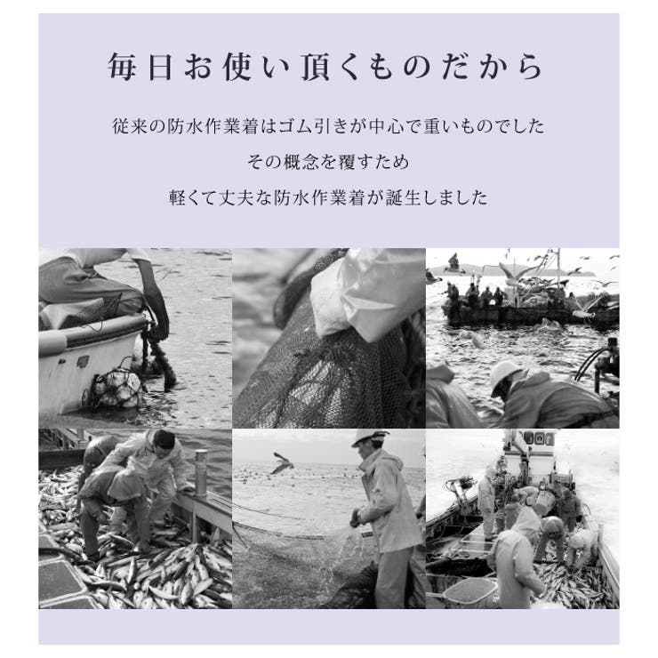 シーキング 水産 業務用 | PROVENCE | 詳細画像3 