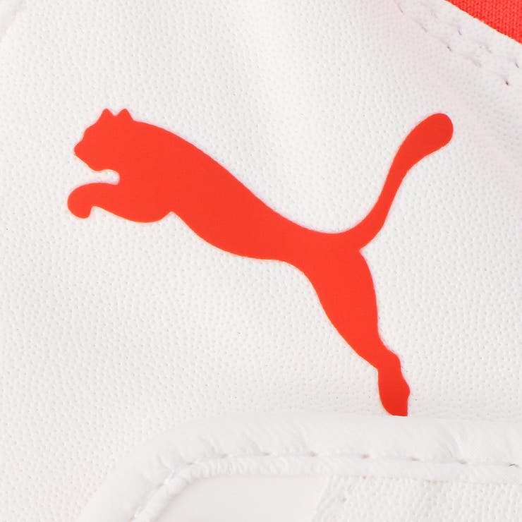 メンズ ゴルフ PWR グリップ グローブ 右手 | PUMA | 詳細画像3 