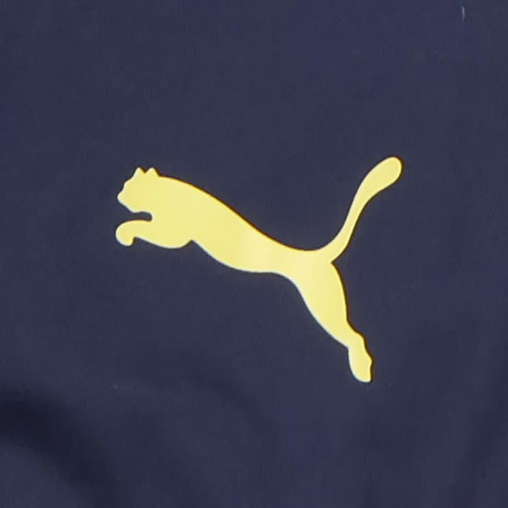 ウィメンズ トレーニング TAD 裏起毛 トリコットライナー パンツ | PUMA | 詳細画像4 