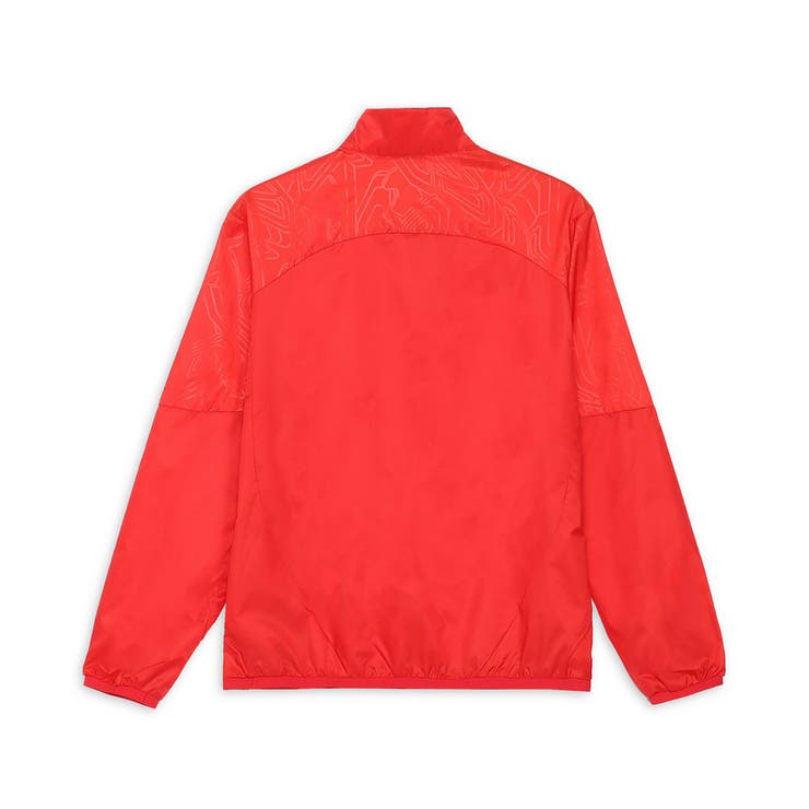 メンズ サッカー チームファイナル ピステ 長袖 ハーフジップ トップス