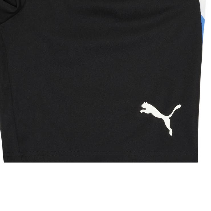 メンズ サッカー INDIVIDUALLIGA トレーニング ショーツ | PUMA | 詳細画像5 