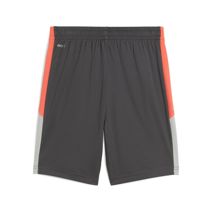 キッズ サッカー INDIVIDUALLIGA | PUMA | 詳細画像6 