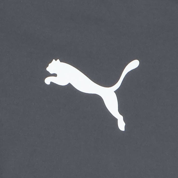 メンズ サッカー INDIVIDUAL WINTERIZED 防風 トップ | PUMA | 詳細画像4 