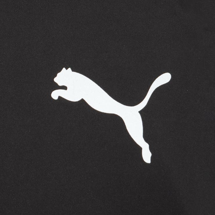 メンズ サッカー INDIVIDUAL WINTERIZED 防風 パンツ | PUMA | 詳細画像4 