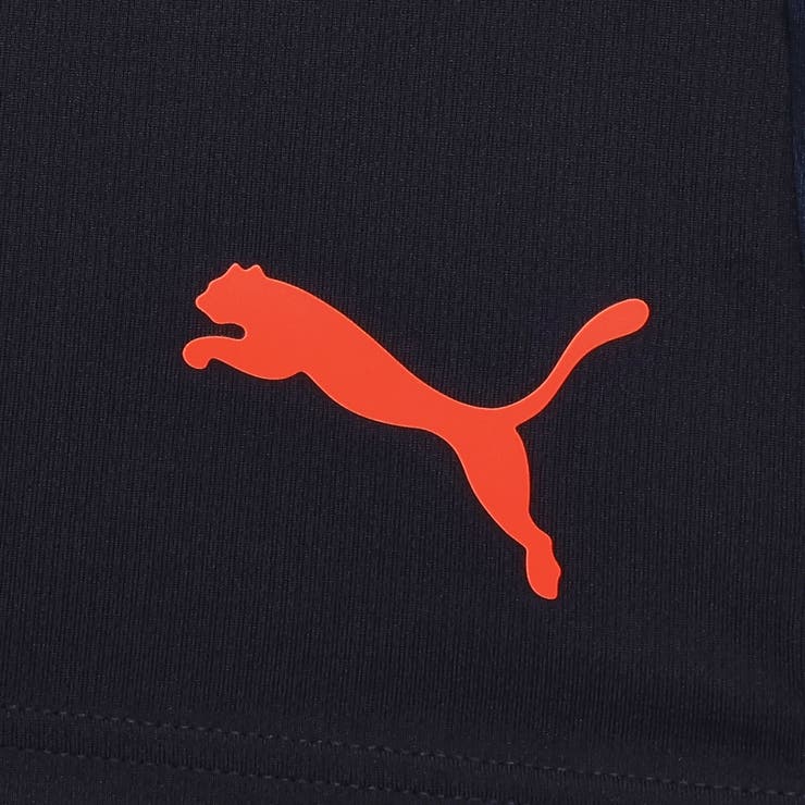 メンズ サッカー INDIVIDUALCUP トレーニング ショーツ | PUMA | 詳細画像4 