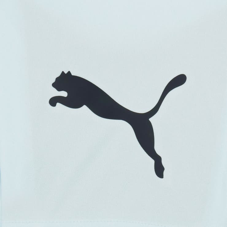 メンズ サッカー INDIVILIGA | PUMA | 詳細画像4 