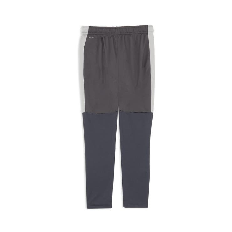 メンズ サッカー INDIVILIGA TR パンツ | PUMA | 詳細画像2 