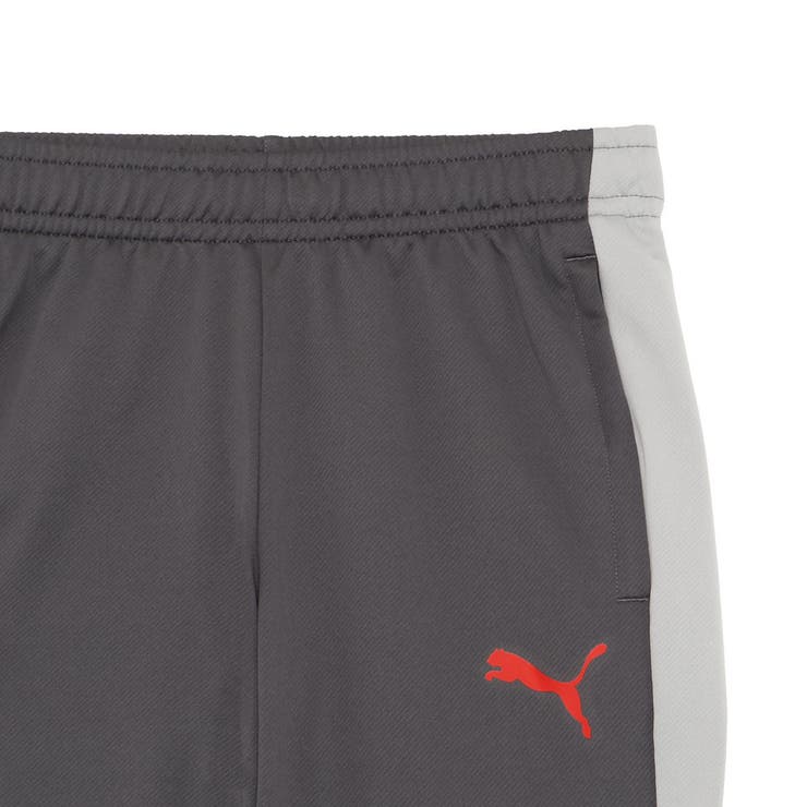 メンズ サッカー INDIVILIGA TR パンツ | PUMA | 詳細画像3 