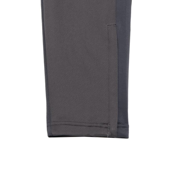 メンズ サッカー INDIVILIGA TR パンツ | PUMA | 詳細画像5 