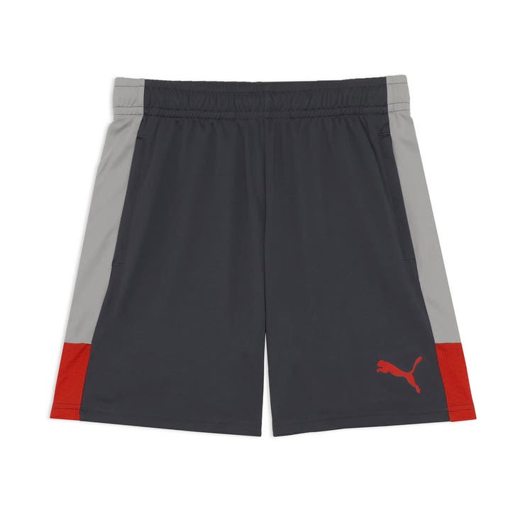 メンズ サッカー INDIVILIGA TR ショーツ | PUMA | 詳細画像1 