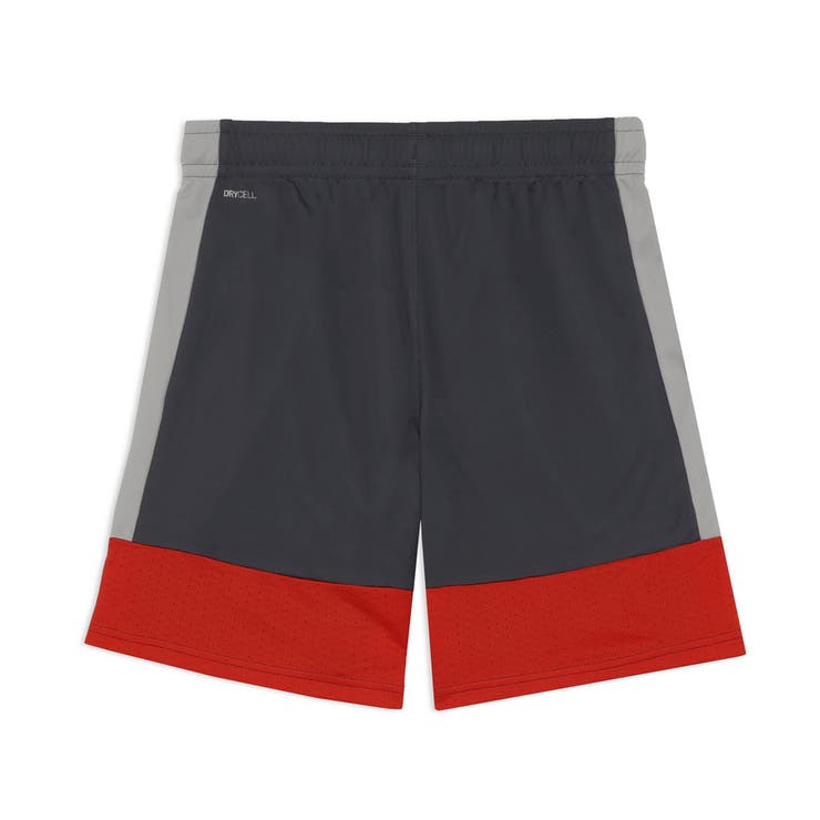 メンズ サッカー INDIVILIGA TR ショーツ | PUMA | 詳細画像2 