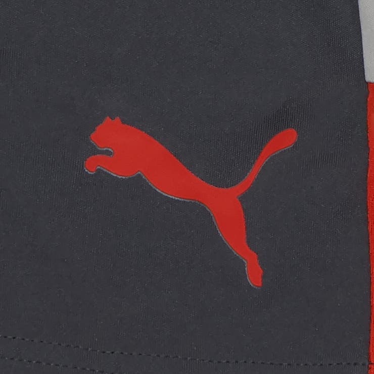 メンズ サッカー INDIVILIGA | PUMA | 詳細画像7 