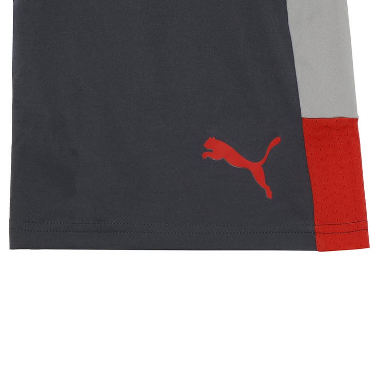 メンズ サッカー INDIVILIGA | PUMA | 詳細画像8 