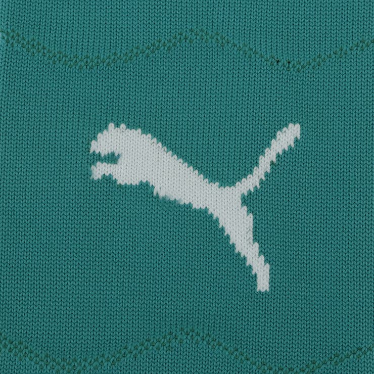 メンズ サッカー ポルトガル代表 レプリカ グラフィック ソックス | PUMA | 詳細画像3 