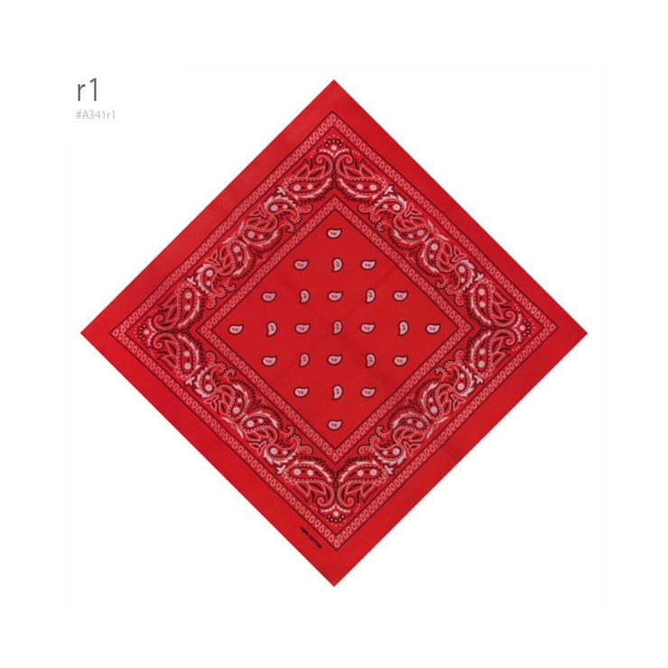 バンダナ ペイズリー UK | RAiseNsE  | 詳細画像25 