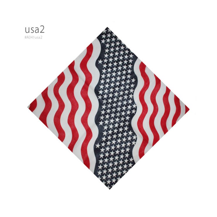 バンダナ ペイズリー UK | RAiseNsE  | 詳細画像35 