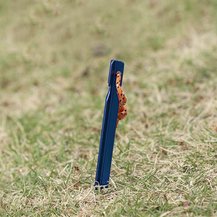 1本売り ペグ アウトドア | RAiseNsE  | 詳細画像17 