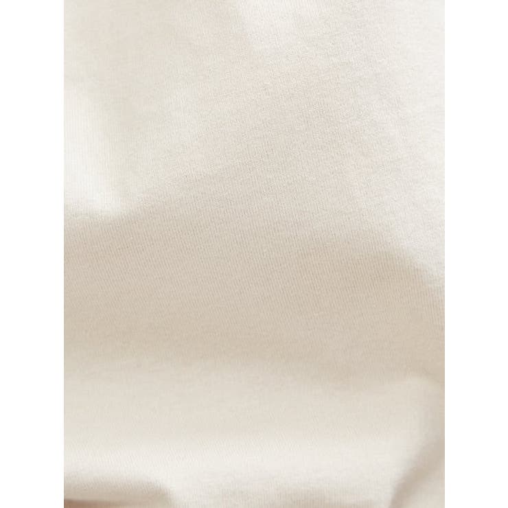 【リユース品】ABAHOUSE | フリーサイズ | カットソー | ReLIKE | 詳細画像3 