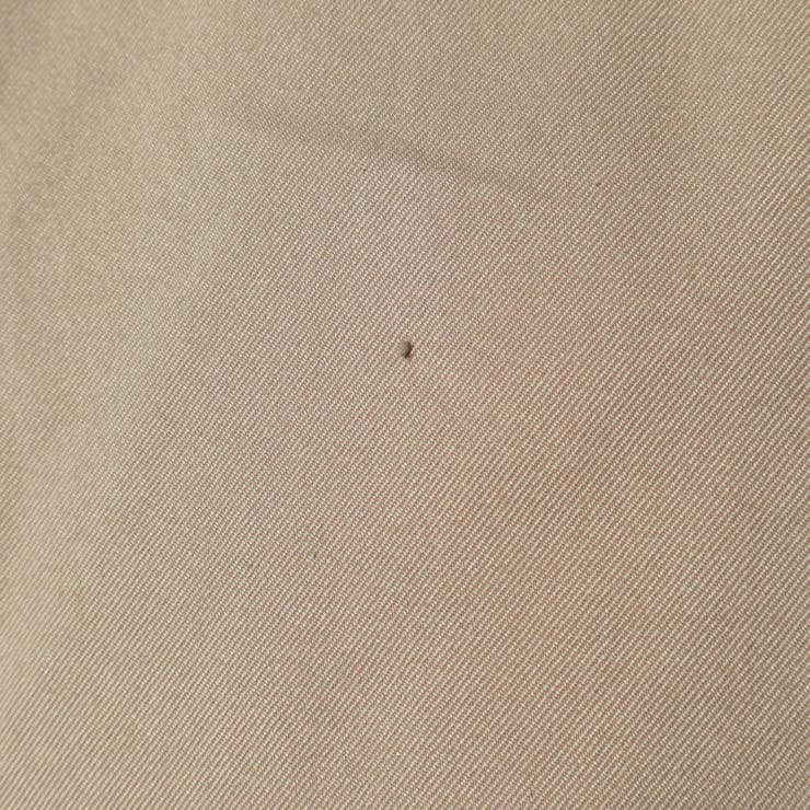 【リユース品】SHIPS | 38 | パンツ | ReLIKE | 詳細画像12 