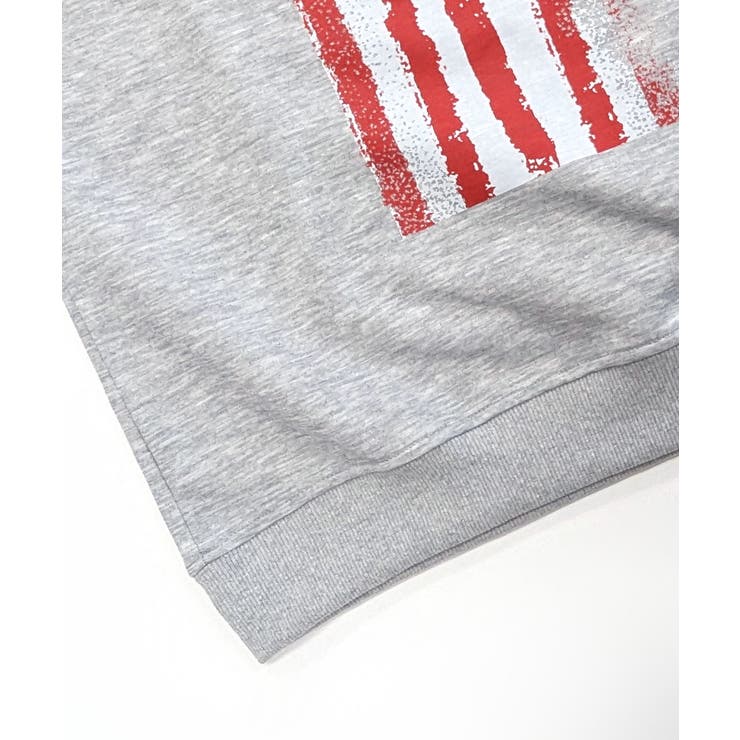 星条旗プリントトレーナー ロゴプリント ロゴ | Riff | 詳細画像34 