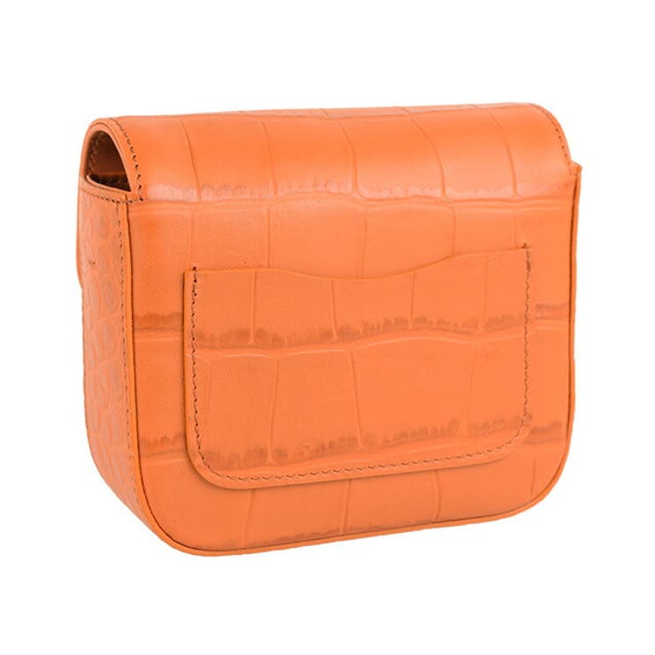 ILBISONTE イルビゾンテ CONTESSINA MINI BAG | Riverall | 詳細画像4 
