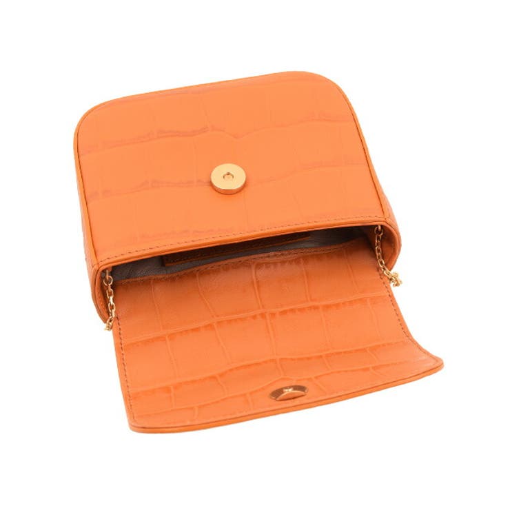 ILBISONTE イルビゾンテ CONTESSINA MINI BAG | Riverall | 詳細画像5 