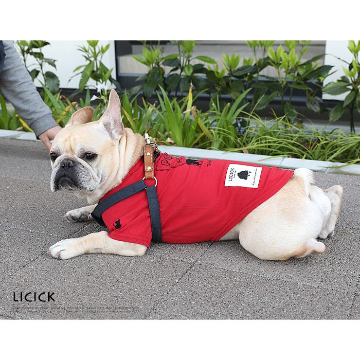 ドッグウエア 犬服 ペアルック 品番 Oe Rocky Monroe ロッキー モンロー のメンズファッション通販 Shoplist ショップリスト