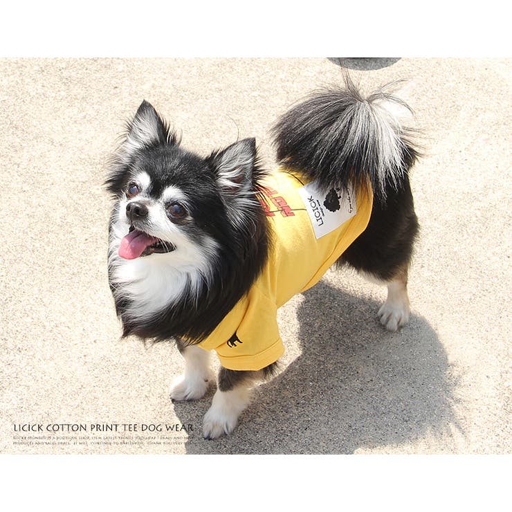 ドッグウエア 犬服 ペアルック 品番 Oe Rocky Monroe ロッキー モンロー のメンズファッション通販 Shoplist ショップリスト