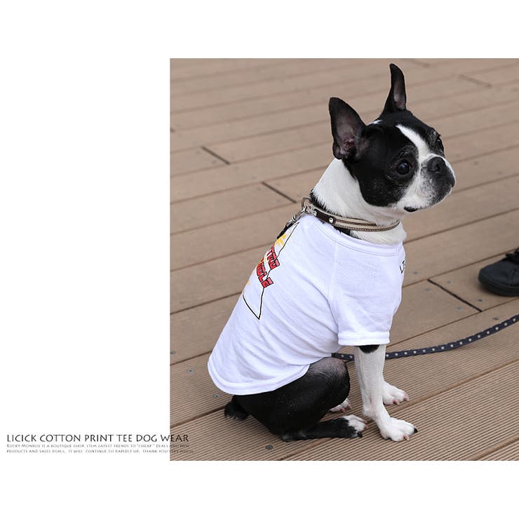 ドッグウエア 犬服 ペアルック[品番：OE000005223]｜Rocky  Monroe（ロッキーモンロー）のファッション通販｜SHOPLIST（ショップリスト）