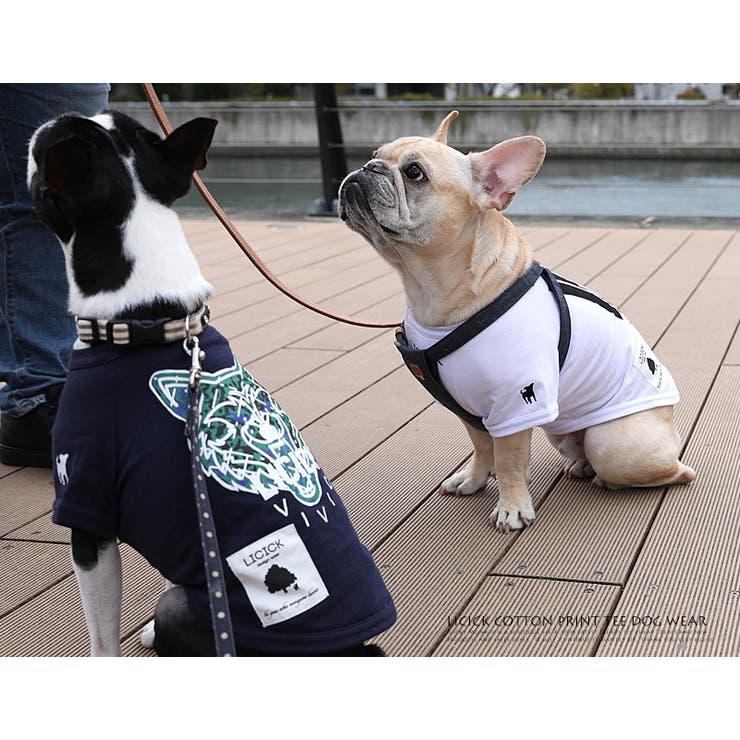 ドッグウエア 犬服 ペアルック 品番 Oe Rocky Monroe ロッキーモンロー のメンズファッション通販 Shoplist ショップリスト