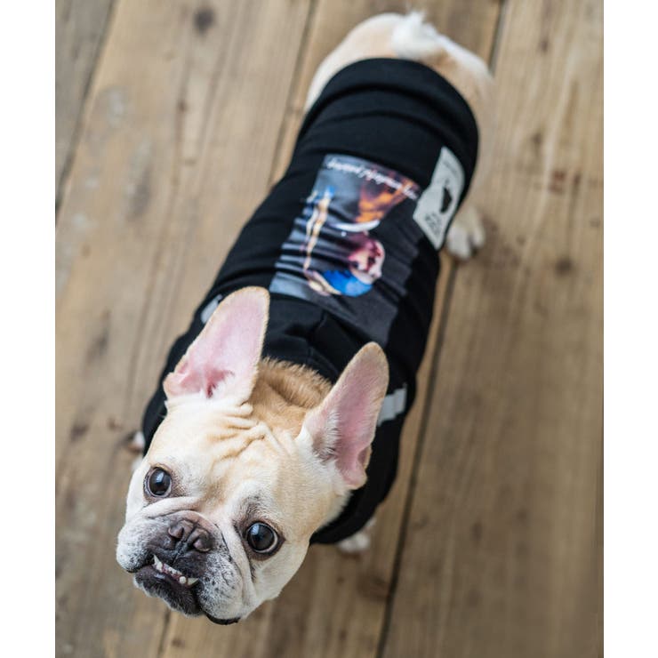 ドッグウェア 犬服 ペット 品番 Oe Rocky Monroe ロッキー モンロー のメンズファッション通販 Shoplist ショップリスト