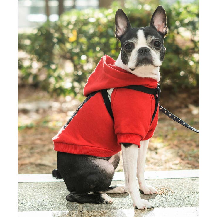 犬服 ドッグウェア ジャケット ベスト フレンチブルドッグ 服 前開き 暖かい 着せやすい 小型犬 中型犬 おしゃれ かわいい 可愛い 保温 寒さ対策 ハロウィン クリスマス
