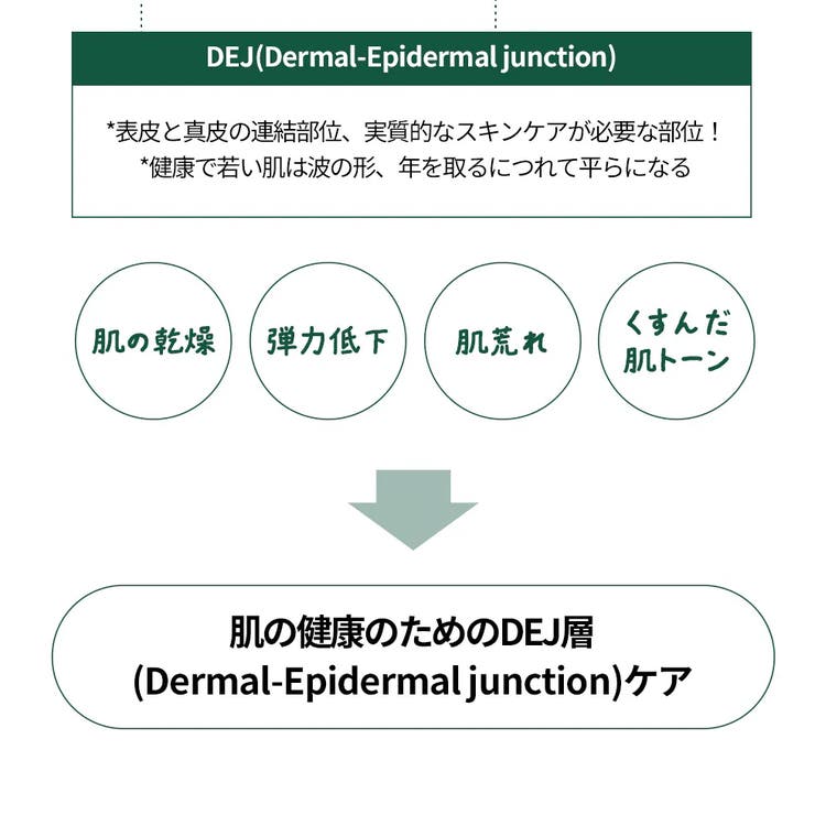 dr.Bio公式 緑米バイオーム弾力クリーム50g 韓国コスメ 韓国 | Dr.Bio | 詳細画像12 
