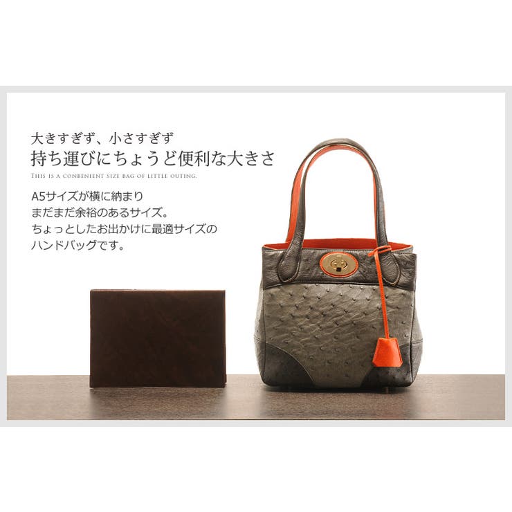 オーストリッチ ハンドバッグ レディース[品番：SNKC0001842
