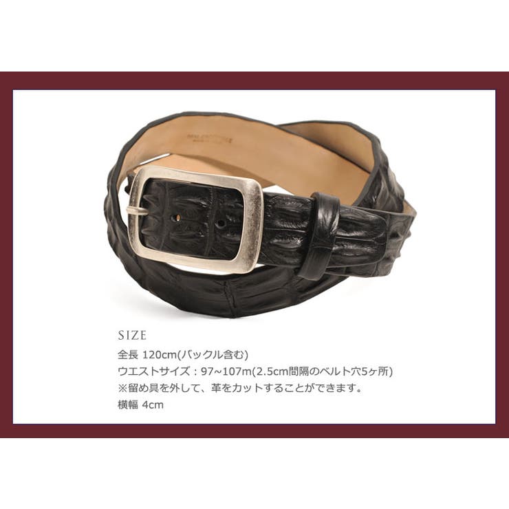 イタリア製 ポロサス ホーンバック | sankyo shokai  | 詳細画像6 