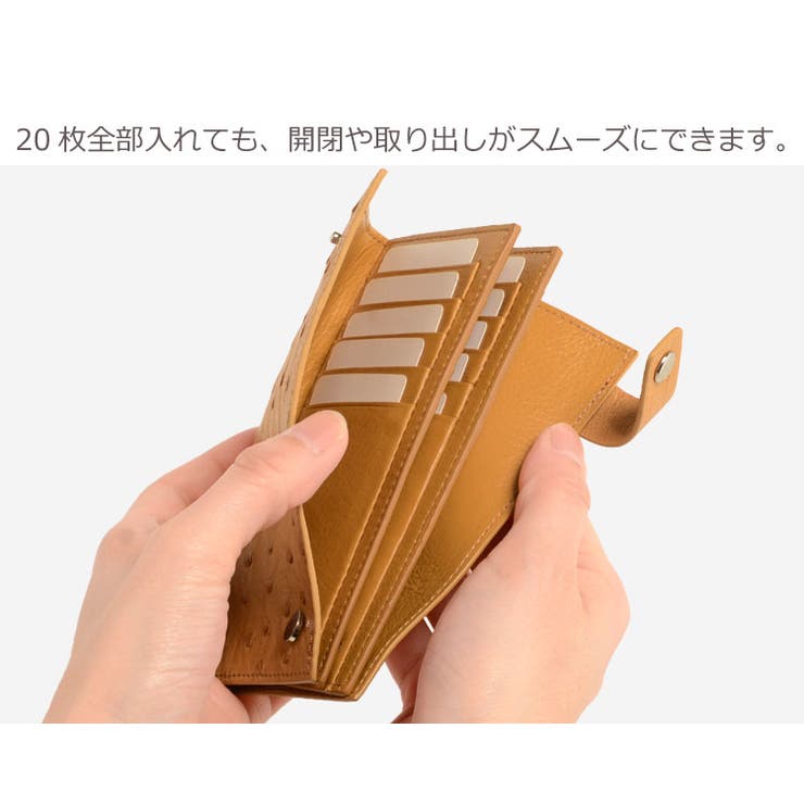 オーストリッチ カードケース 20枚収納[品番：SNKC0001370