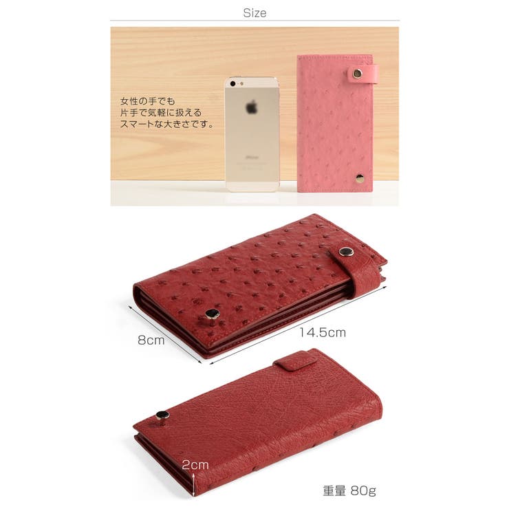オーストリッチ カードケース 20枚収納[品番：SNKC0001370