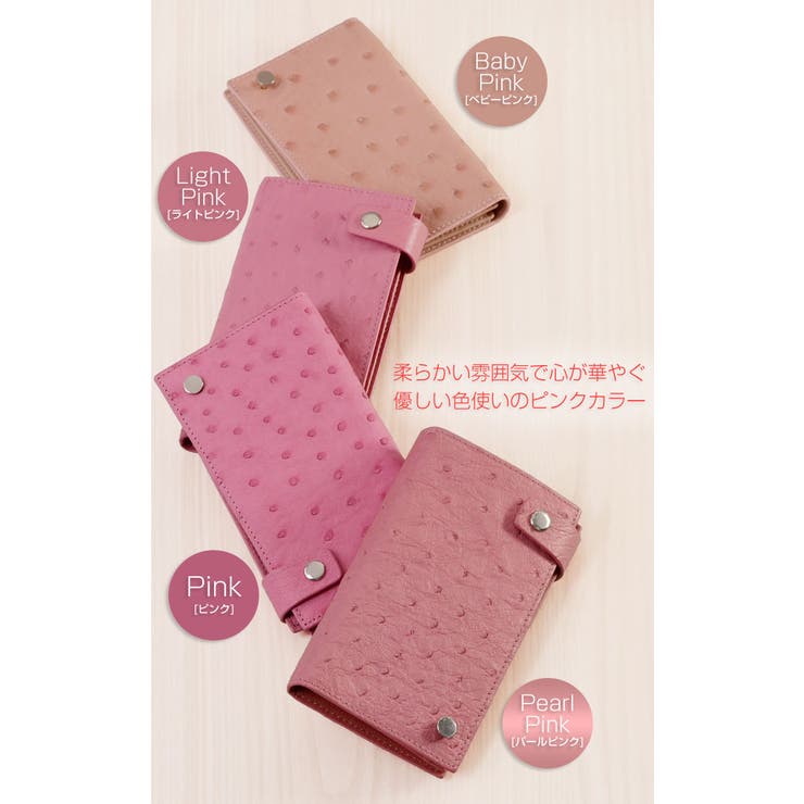 オーストリッチ カードケース 20枚収納[品番：SNKC0001370
