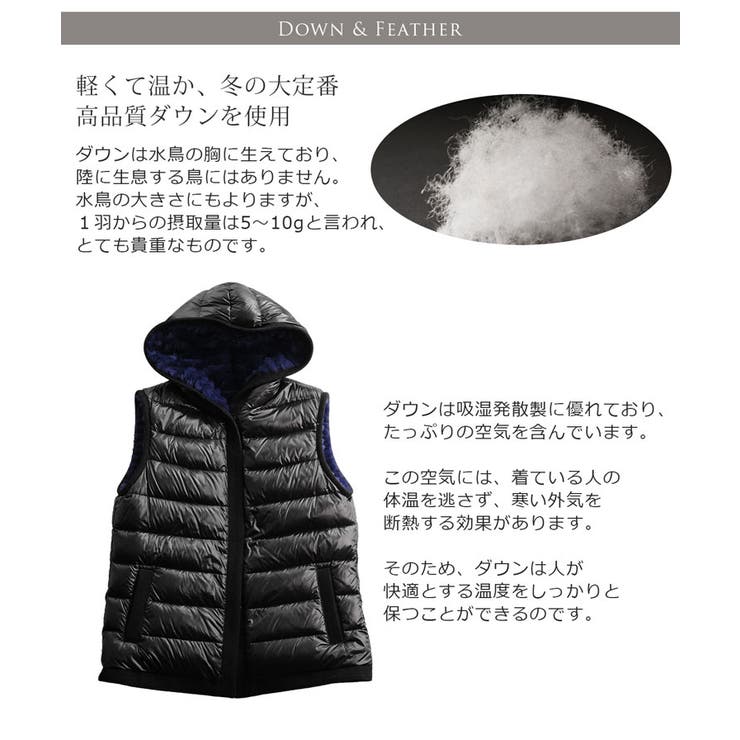 レッキス ＆ ダウン | sankyo shokai  | 詳細画像5 