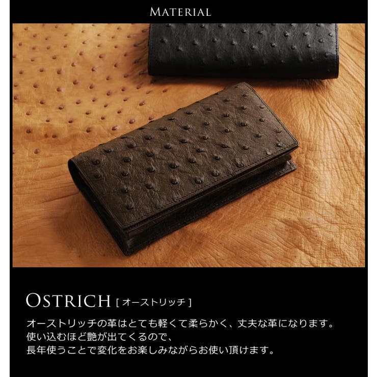 日本製 紙幣200枚収納可の オーストリッチ | sankyo shokai  | 詳細画像6 