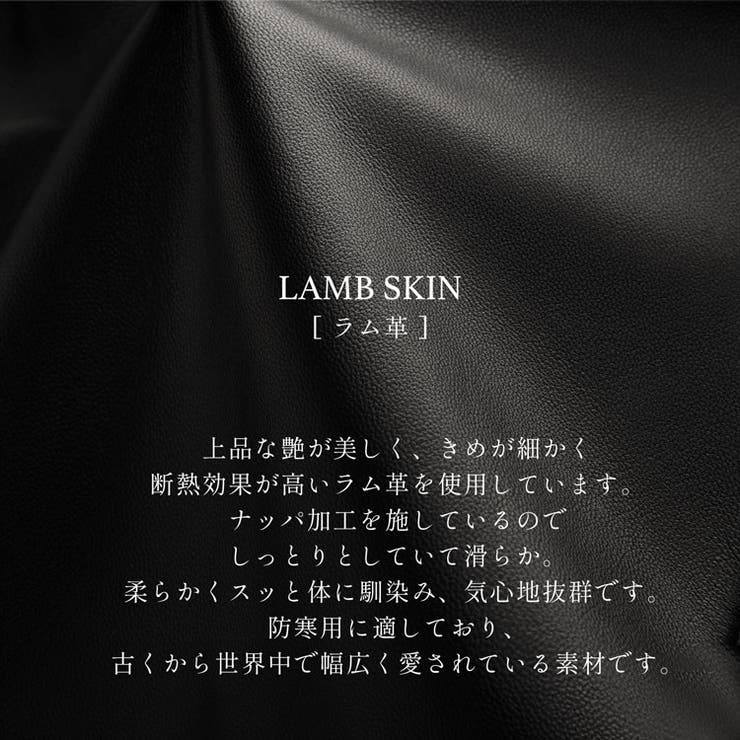 レザージャケット レディース ノーカラー | sankyo shokai  | 詳細画像4 