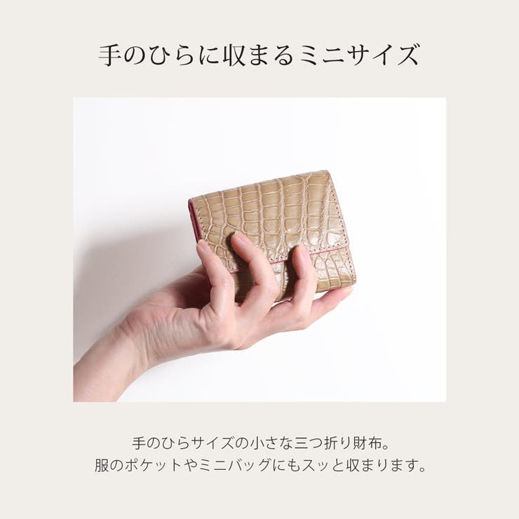 ミニ財布 クロコダイル マット | sankyo shokai  | 詳細画像2 