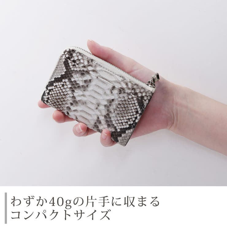 コンパクトサイズ